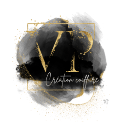 logo_VP_blanc-HR